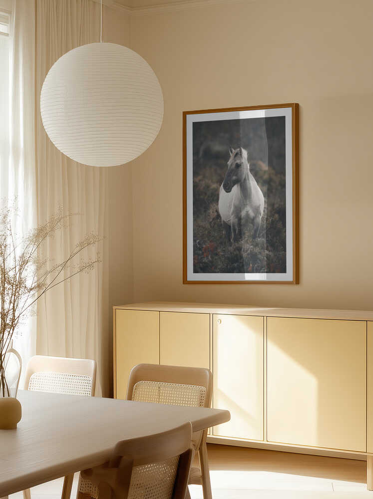 Solitary Wild Horse