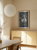 Solitary Wild Horse