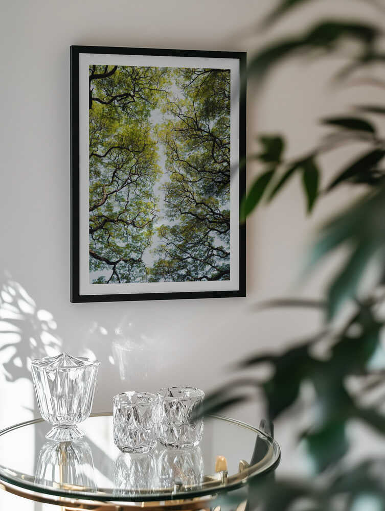Lush Green Tree Canopy
