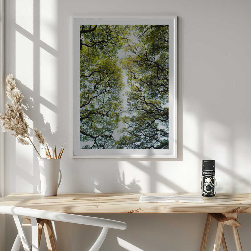 Lush Green Tree Canopy