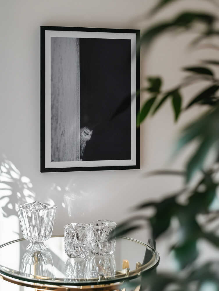 Curious Peeking Cat, arte de Sajad Aslani