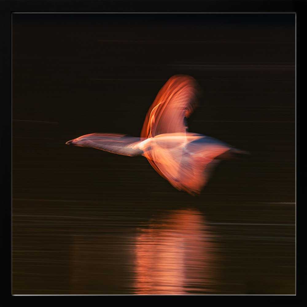 Abstract Glowing Bird