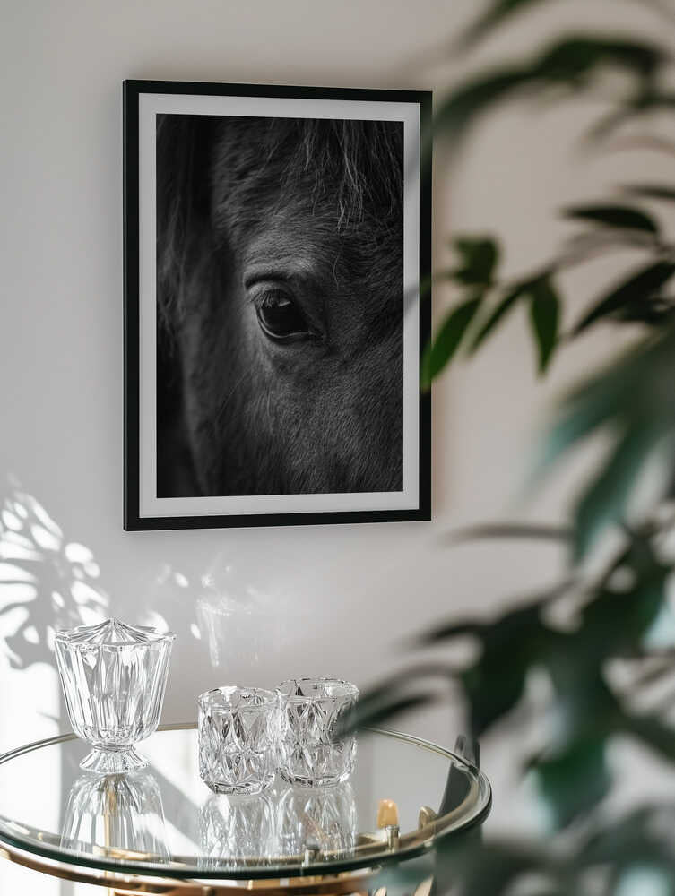 Soulful Equine Eye