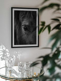 Soulful Equine Eye