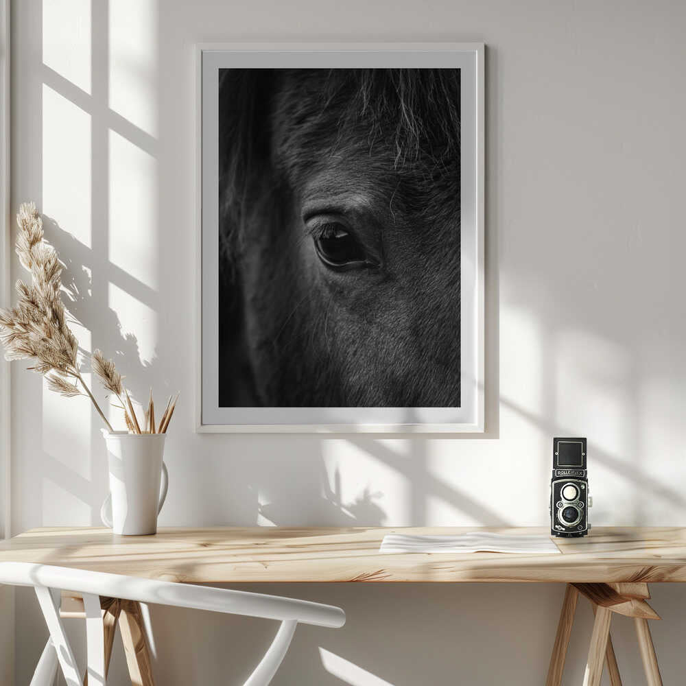Soulful Equine Eye