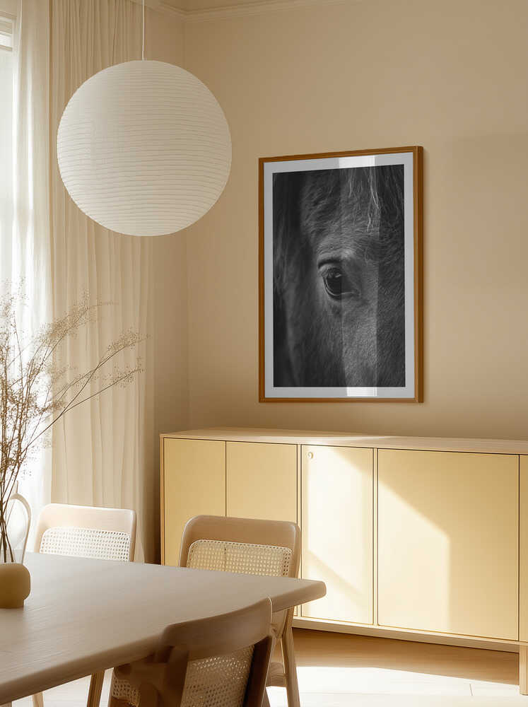 Soulful Equine Eye