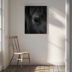 Soulful Equine Eye