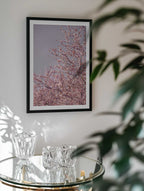 Pink Cherry Blossoms, arte de Mareike Böhmer