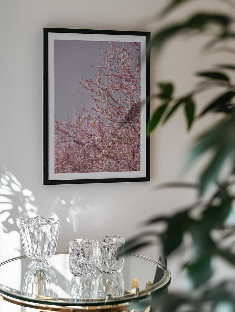 Pink Cherry Blossoms, arte de Mareike Böhmer