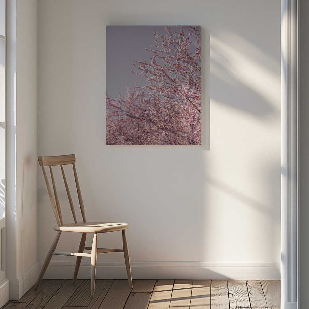 Pink Cherry Blossoms, arte de Mareike Böhmer