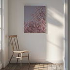 Pink Cherry Blossoms, arte de Mareike Böhmer