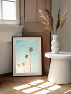 Sunny Cali Palm Tree