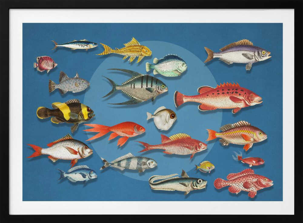 Colorful Marine Fish Collection, arte de Marja van den Hurk