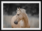 Serene Palomino Horse, arte de Linda Louw