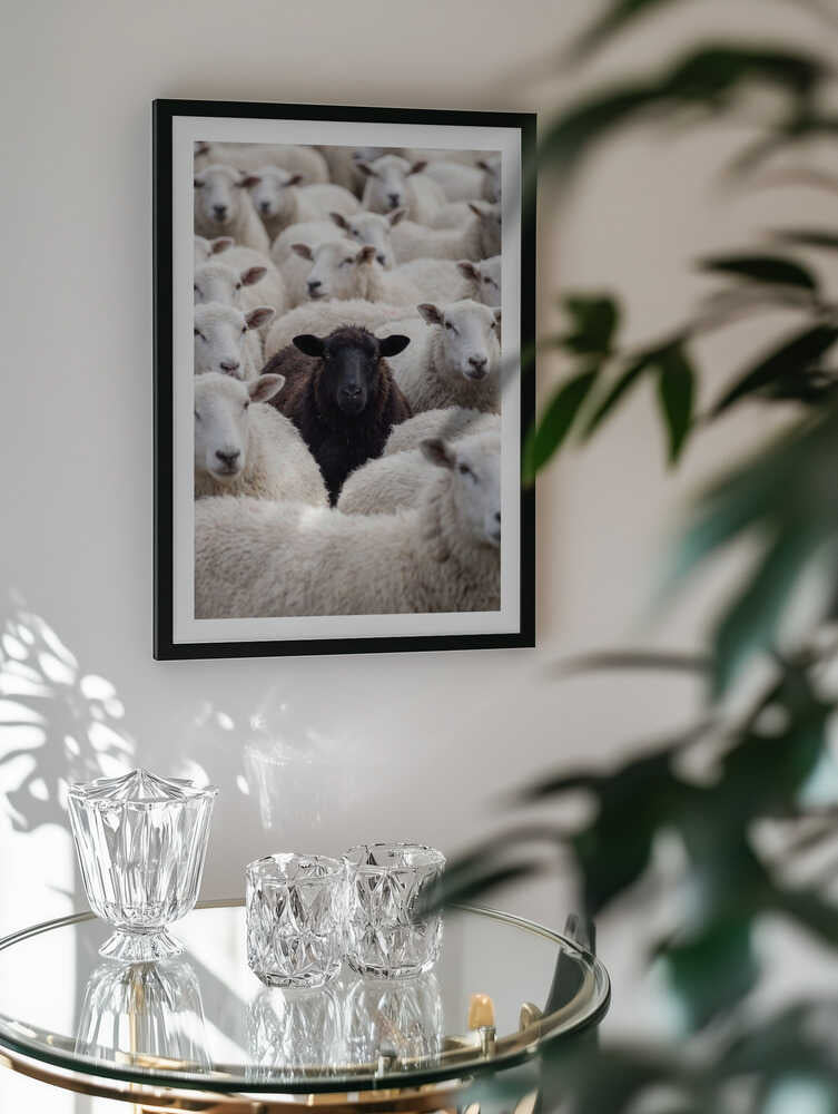 One Black Sheep, arte de Andreas Magnusson