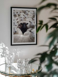One Black Sheep, arte de Andreas Magnusson