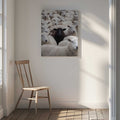 One Black Sheep, arte de Andreas Magnusson