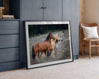 Three Wild Horses, arte de Linda Louw