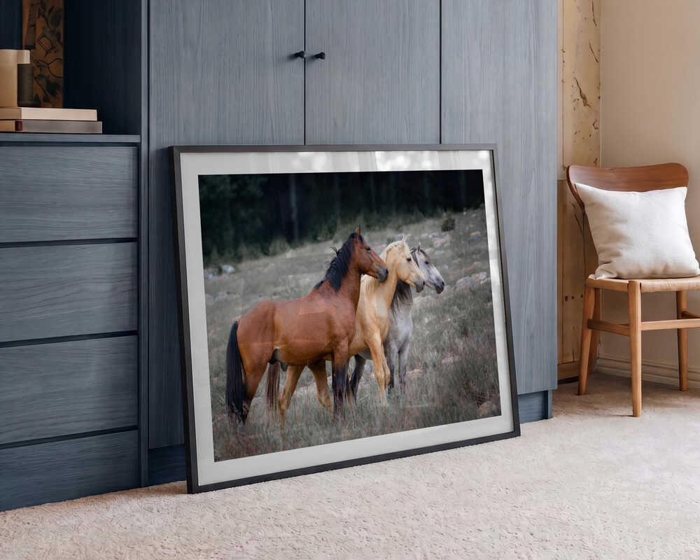 Three Wild Horses, arte de Linda Louw