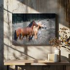 Three Wild Horses, arte de Linda Louw