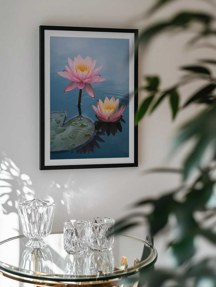 Serene Water Lilies, arte de Andreas Magnusson