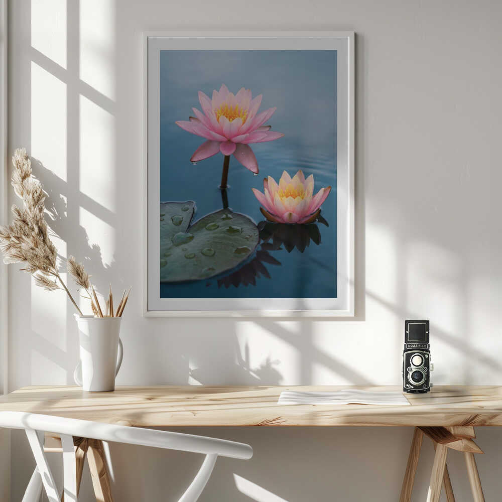 Serene Water Lilies, arte de Andreas Magnusson