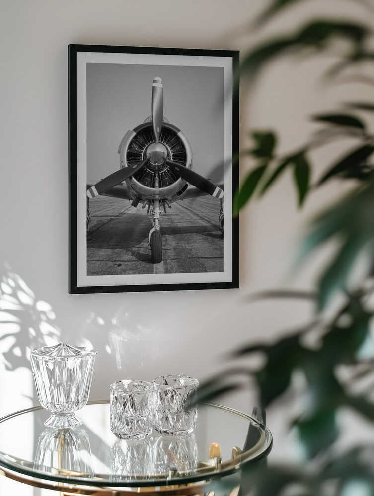 Polished Vintage Aircraft, arte de Andreas Magnusson