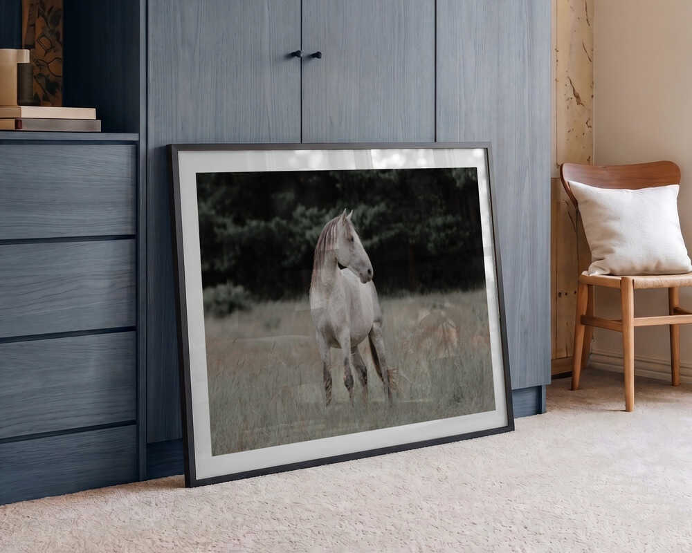 Wild Horse In Meadow, arte de Linda Louw