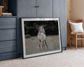 Wild Horse In Meadow, arte de Linda Louw