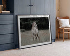 Wild Horse In Meadow, arte de Linda Louw