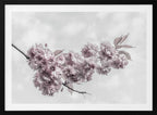 Dreamy Pink Blooms, arte de Melanie Viola