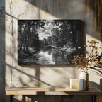 Deep Woods River, arte de Pictufy Studio IV