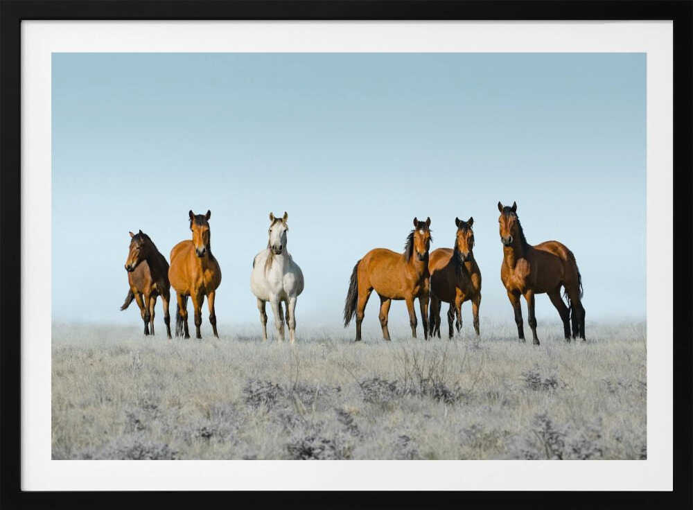 Wild Horses on Prairie, arte de Linda Louw