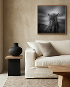 Dark Horse Portrait