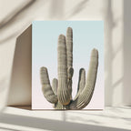 Saguaro