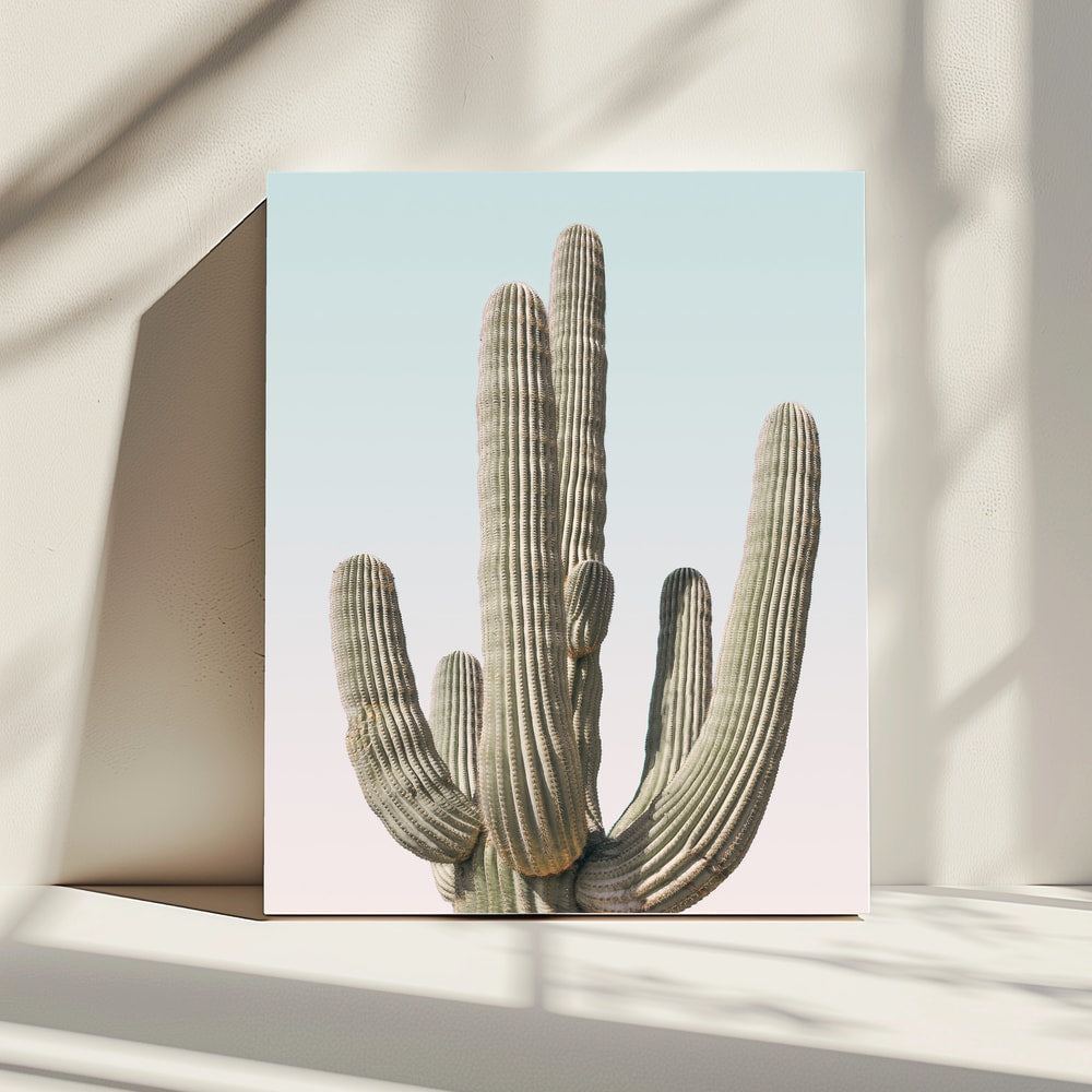 Saguaro