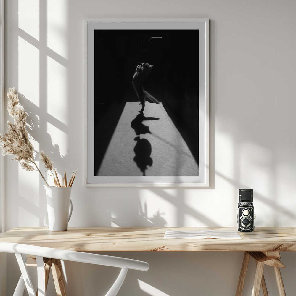 Playful Kitten Shadow, arte de Jure Kravanja