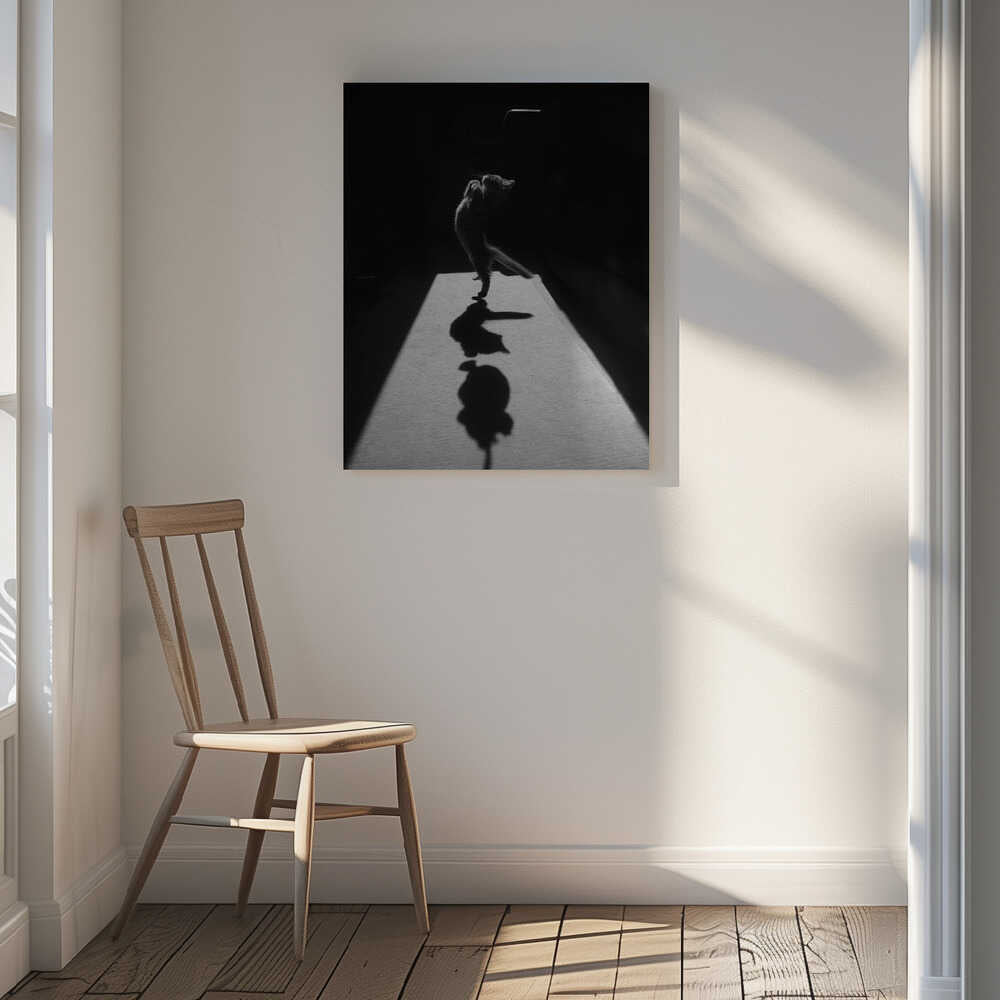 Playful Kitten Shadow, arte de Jure Kravanja