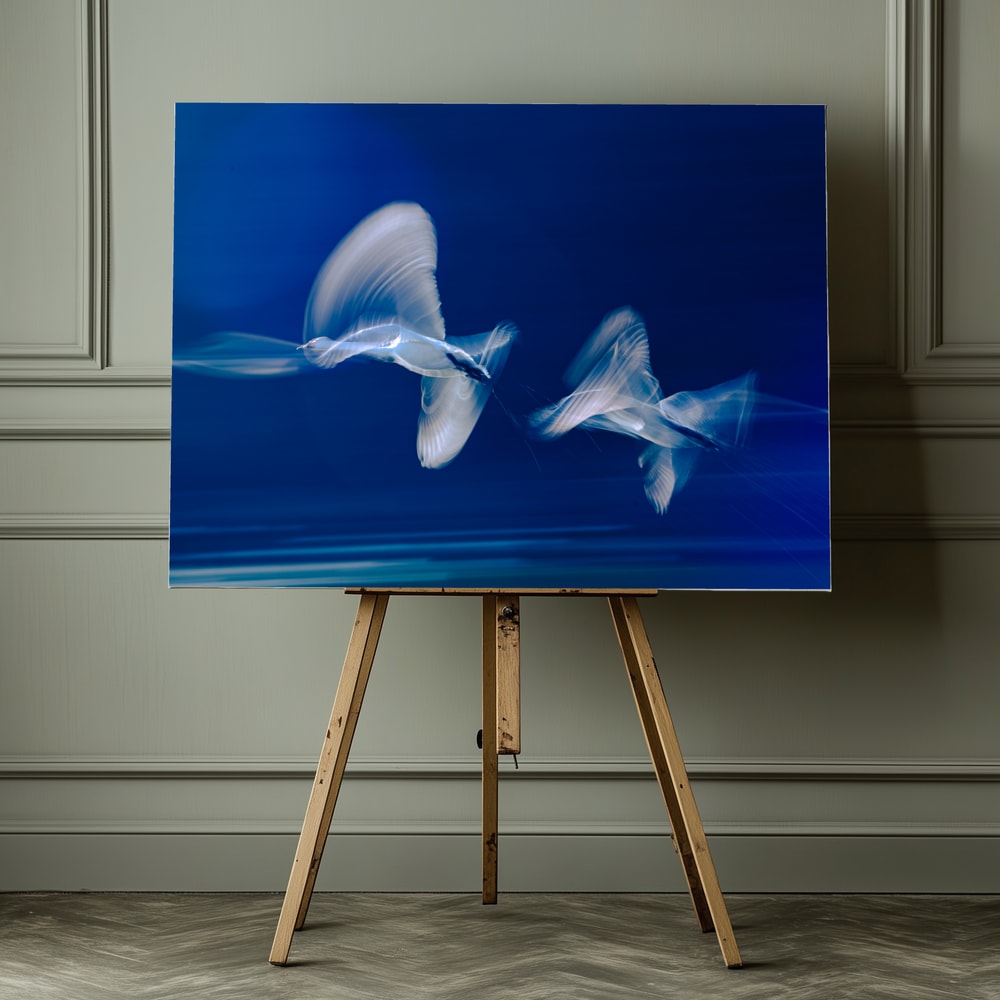 Blue Birds in Motion