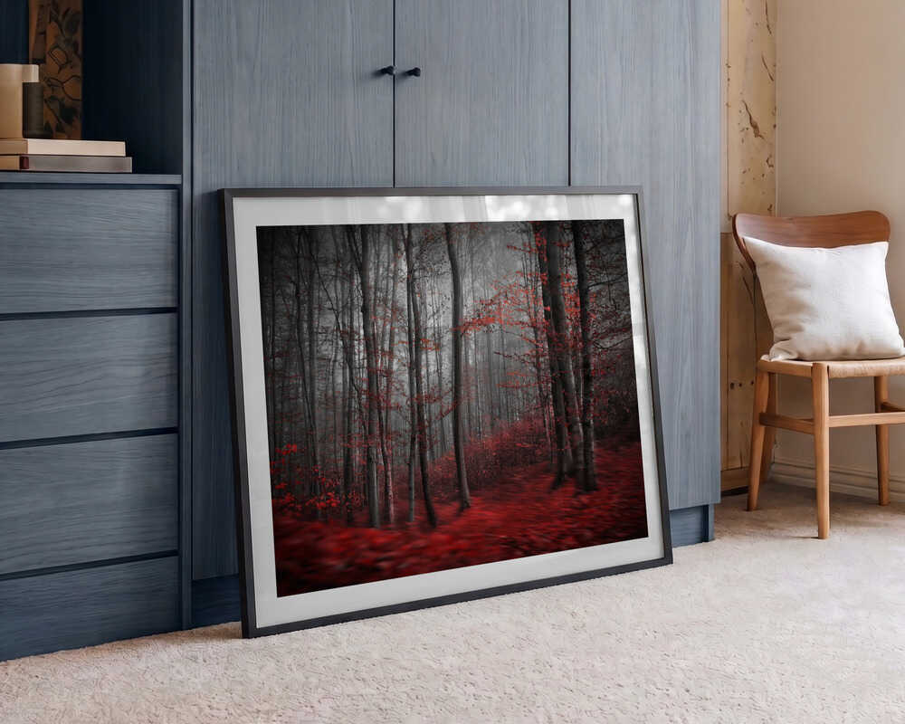 Misty Red Forest