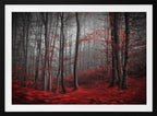 Misty Red Forest
