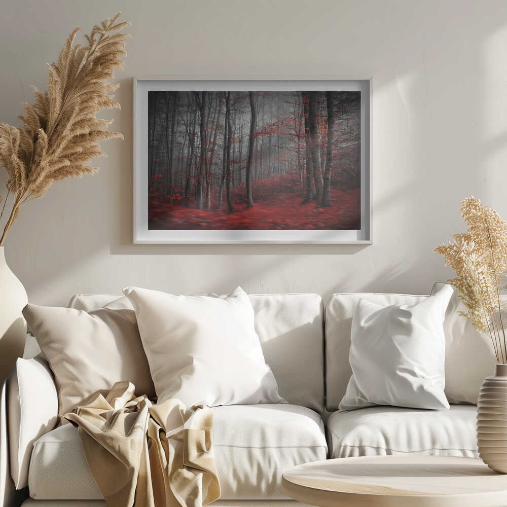 Misty Red Forest