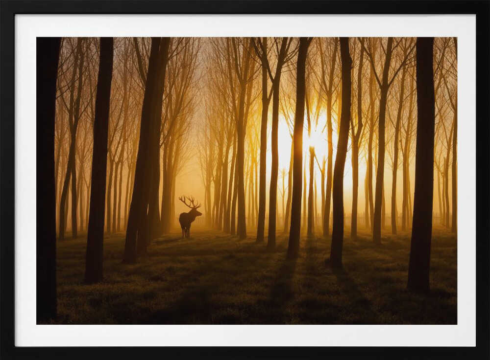 Golden Forest Stag