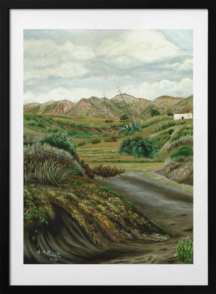 Peaceful Desert Valley