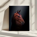Noble Bay Horse Portrait