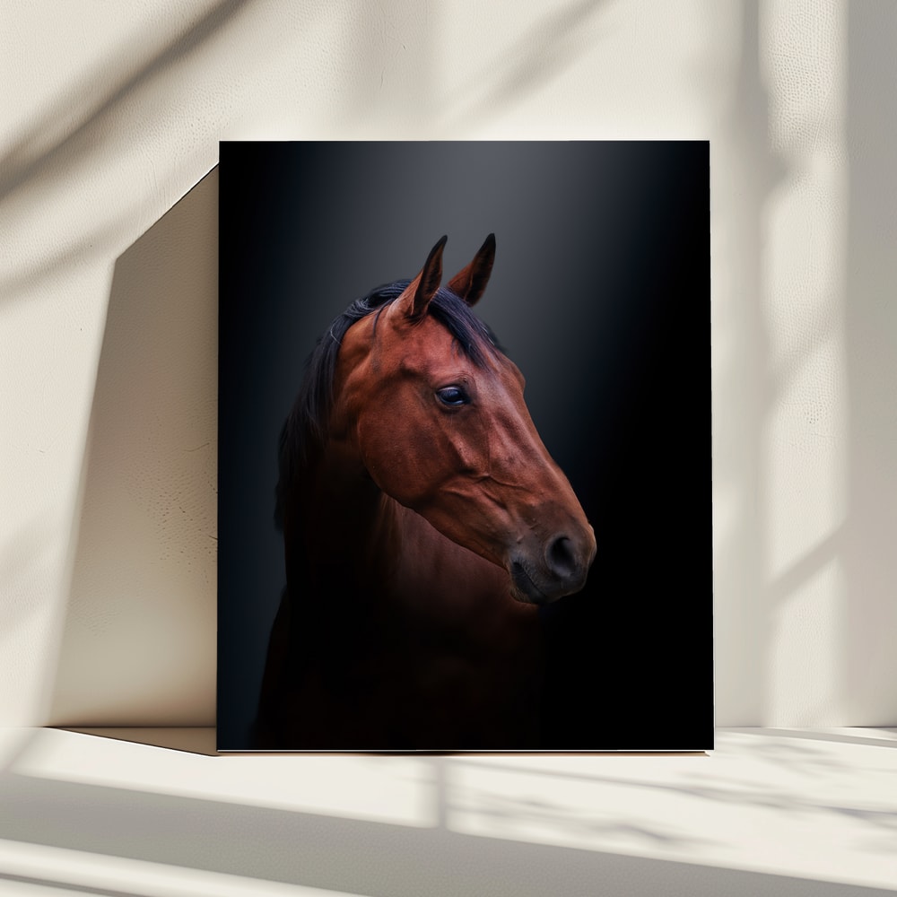 Noble Bay Horse Portrait