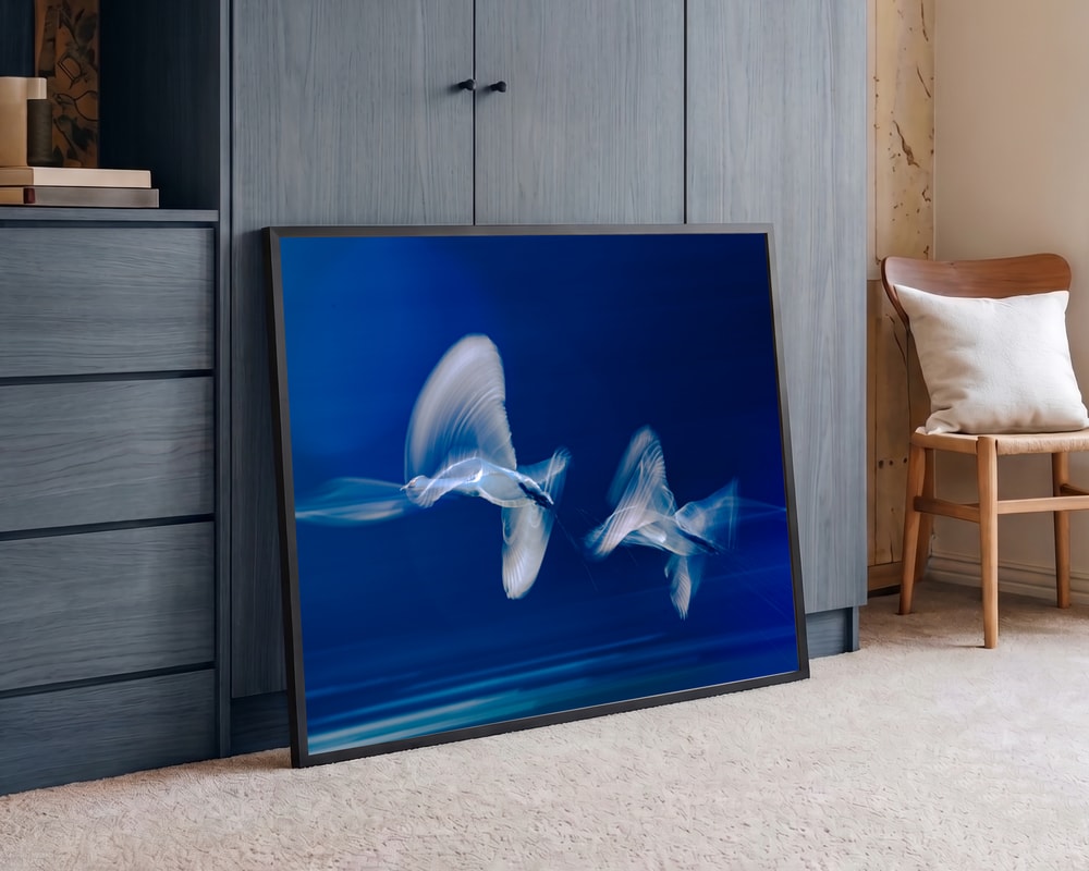 Blue Birds in Motion