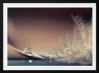 Delicate Feather Drop