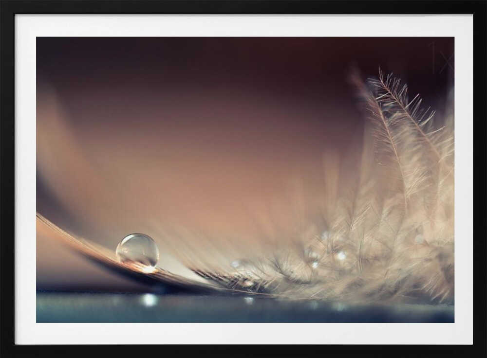 Delicate Feather Drop