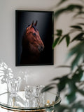Noble Bay Horse Portrait